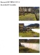 Garten.jpg