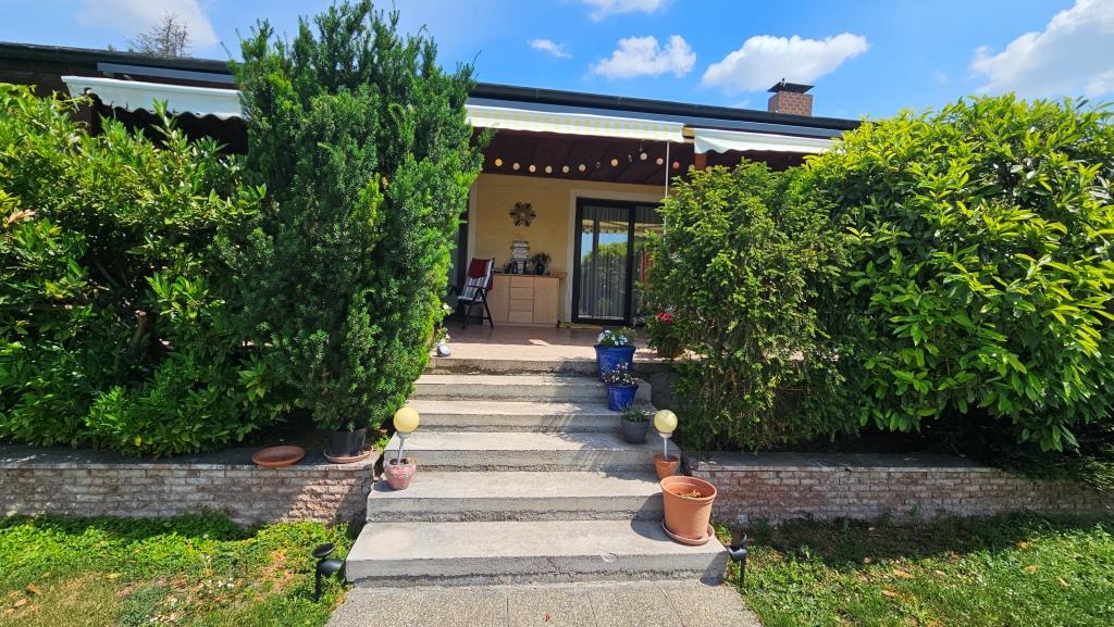 Haus mit Garten und Stufen zur Terrasse, mit blauen und grünen Büschen.