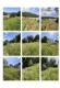 Foto1 (322 KB)