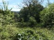 Garten (142 KB)