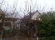 Foto4 (41 KB)