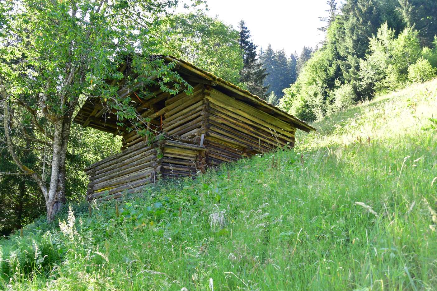 Holzhütte in den Alpen auf einer grünen Wiese mit Bäumen im Hintergrund
