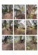 Foto2 (369 KB)