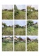 Foto3 (297 KB)