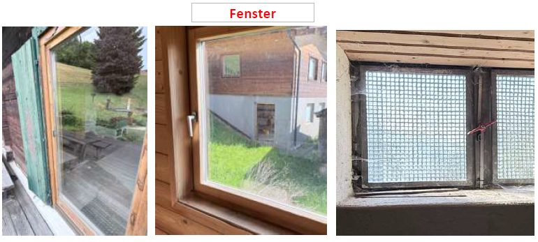 Fenster mit grünen Fensterläden, Holzkastenfenster mit Blick auf Haus und Garten sowie ein Fenster aus Glasbausteinen.