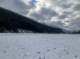 Wiesen (2102 KB)