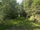 Waldfläche Süd, Weg (451 KB)
