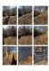 Foto4 (388 KB)