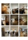Foto5 (140 KB)