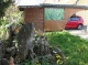 Garten (115 KB)