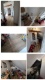 Foto (126 KB)
