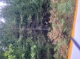 Wald 5 (5523 KB)