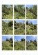 Foto7 (391 KB)