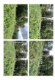 Foto 2 (458 KB)