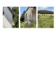 Foto6 (111 KB)