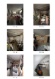 KG Bilder-page-00002.jpg