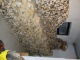 11 KG Holzlager.JPG
