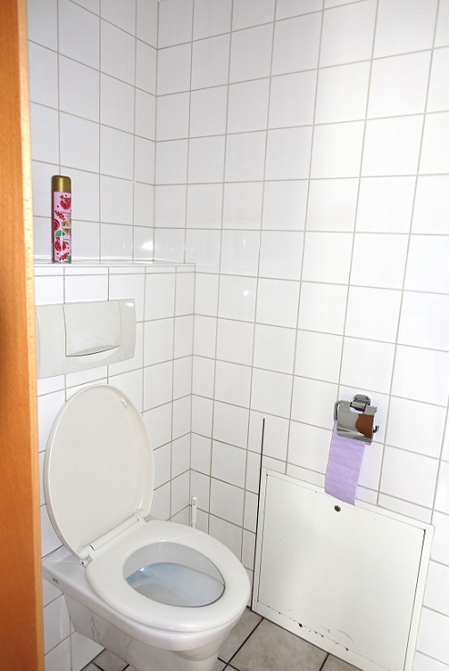 WC mit offenem Deckel, Lüfterdose und lila Klopapierhalter an gekachelter Wand