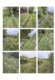 Foto5 (368 KB)