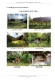 Foto1 (118 KB)