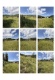 Foto10 (265 KB)