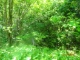 DSC03485.JPG