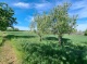 Foto_01.jpg