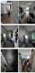 Foto (113 KB)