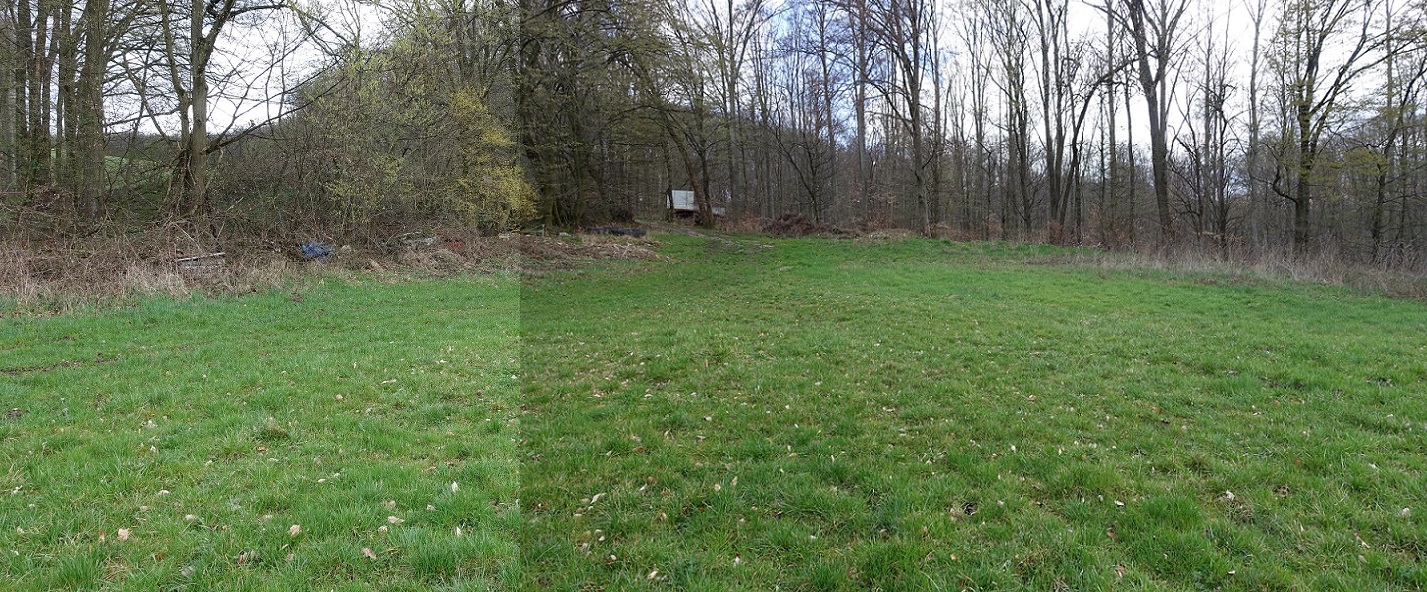 Wiese mit Bäumen und einem kleinen Gebäude im Hintergrund in Österreich