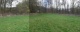 in Richtung Westen/Wald (573 KB)