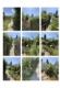 Foto1 (314 KB)