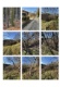 Foto1 (367 KB)