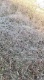 20250320_153524.jpg