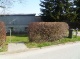 Foto5 (38 KB)