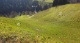 12_Feld1-3 (592 KB)