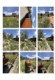 Foto1 (301 KB)