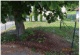 Foto1.jpg