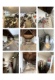 Foto12 (181 KB)