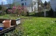 Garten zu Top 5 (145 KB)