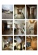 Foto4 (157 KB)