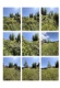 Foto8 (315 KB)