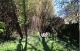 Foto Baugrund 3 (63 KB)