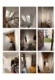 Foto9 (132 KB)