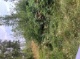 Wald 6 (6480 KB)