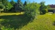 20250625_075948.jpg