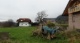DSC00531.JPG