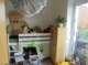 DSC09637.JPG