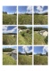 Foto13 (269 KB)