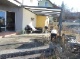 Terrasse (130 KB)