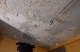 Küchendecke Erdgeschoss (136 KB)